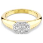 Dextera ring