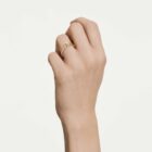 Classica ring