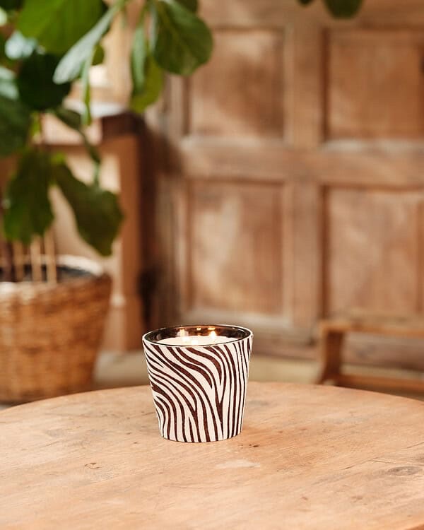 img_2450 Hairy Zebra Black